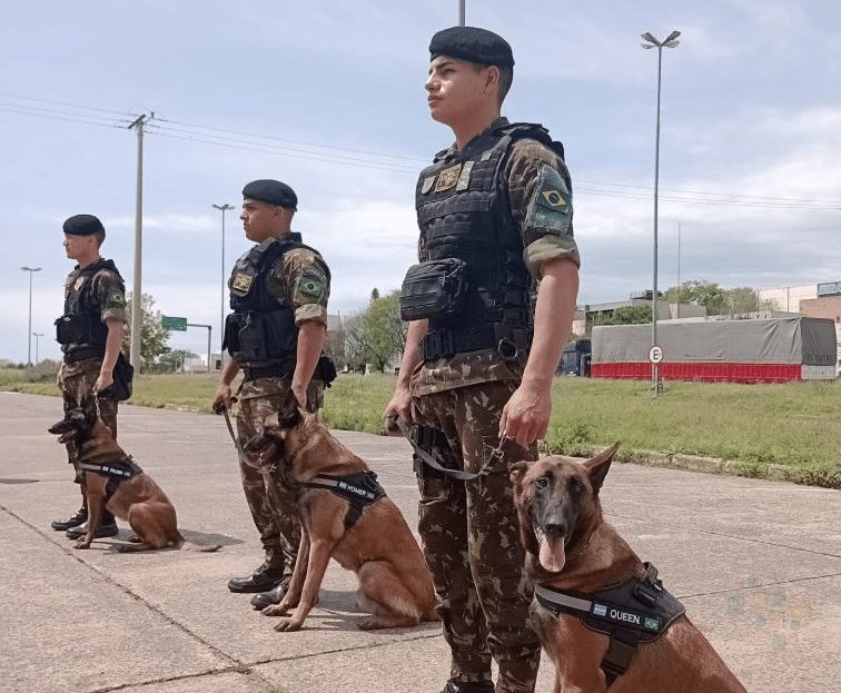 Exércitos de Brasil e Argentina ampliam cooperação com permuta de animais