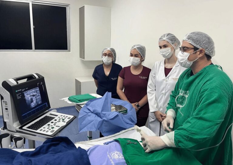 HNNa e UnP inovam em assistência médica com ultrassom