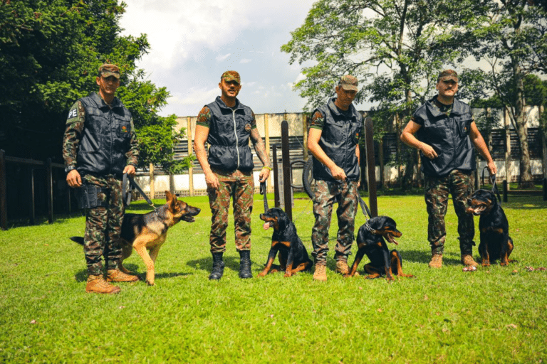 Exército Brasileiro recebe e treina cães para missões