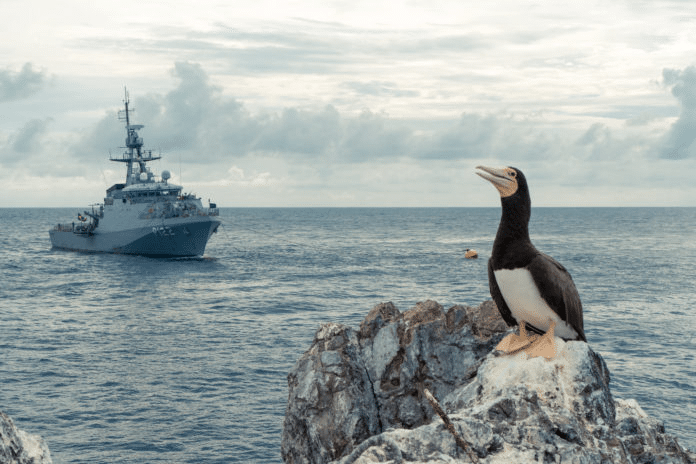 Navio militar no mar e pássaro em rocha