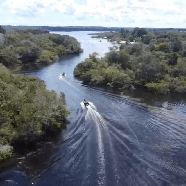 Barcos navegando em rio cercado por floresta.