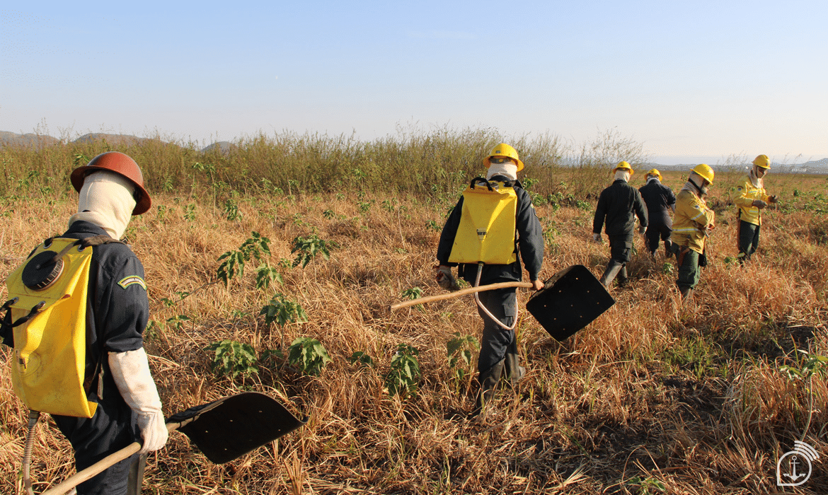 Trabalhadores rurais com ferramentas no campo seco.
