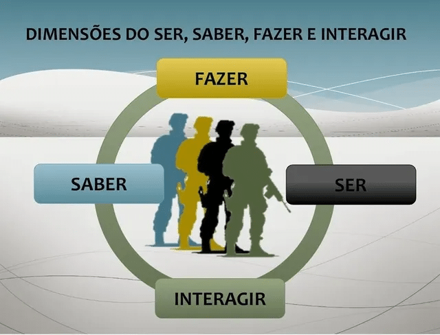 Gráfico sobre dimensões: ser, saber, fazer, interagir.