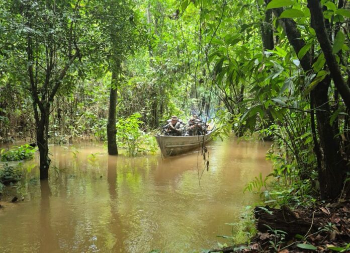 Barco navegando em rio na floresta tropical.