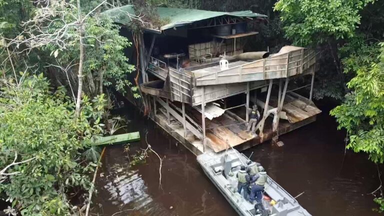 Operação policial em casa flutuante na floresta.