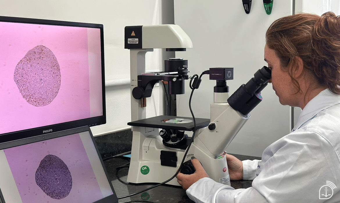 Cientista analisando amostra em microscópio no laboratório.