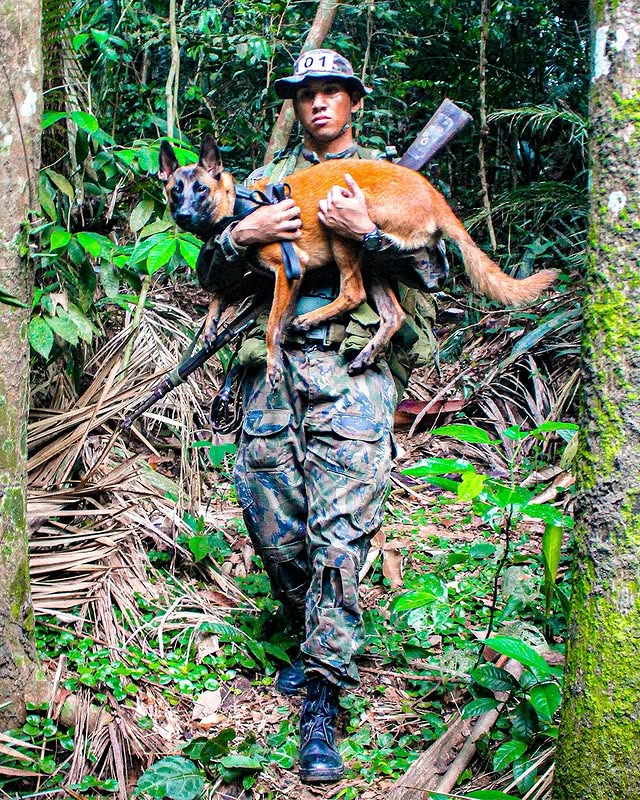 Soldado carrega cachorro na floresta durante missão.