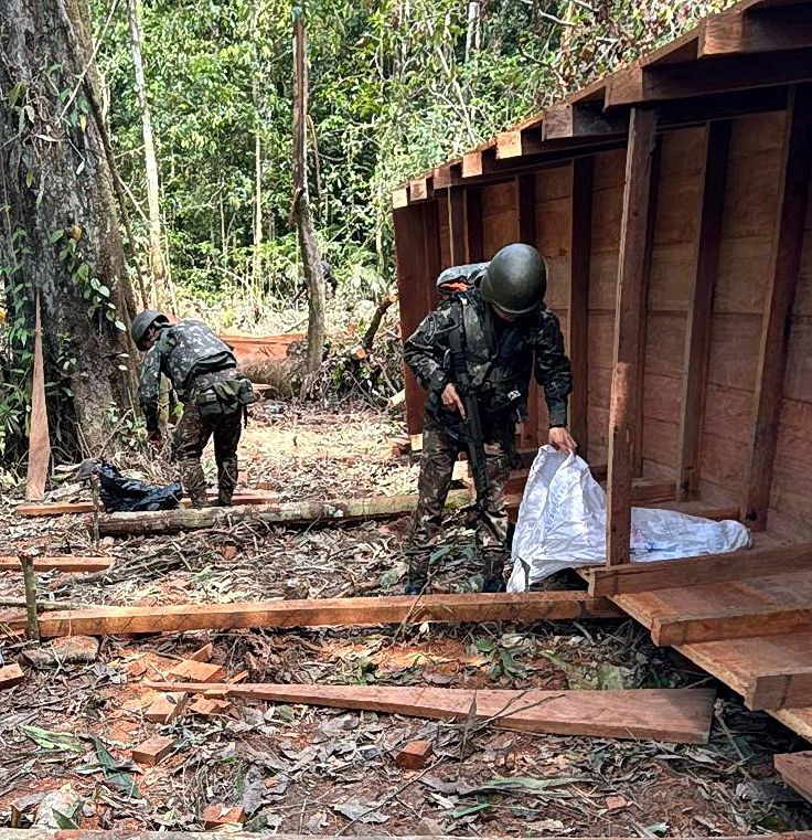 Soldados inspecionam construção na floresta.