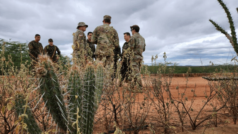 Militares conversam em área desértica com cactos.