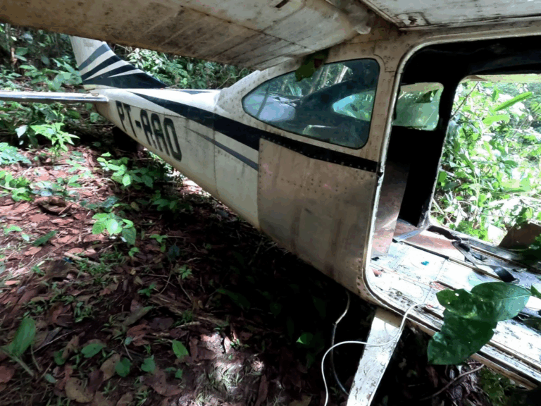 Avião abandonado na floresta, foto lateral.