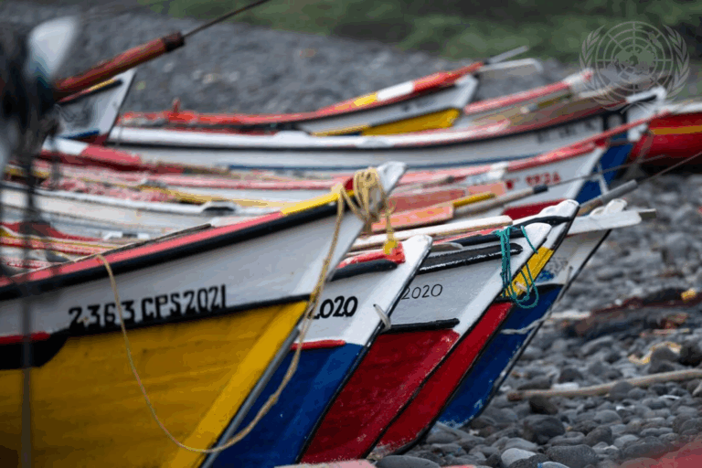 Barcos coloridos sobre pedras na praia.